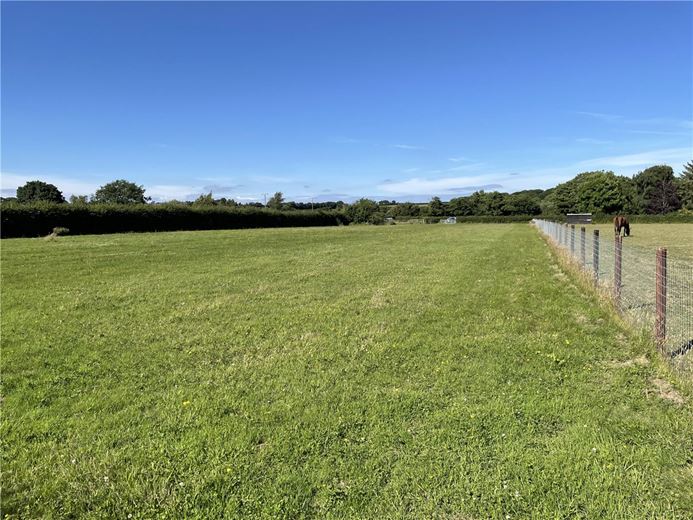 1.5 acres Land, Plum Paws Meadow, Spaxton TA5 - Sold