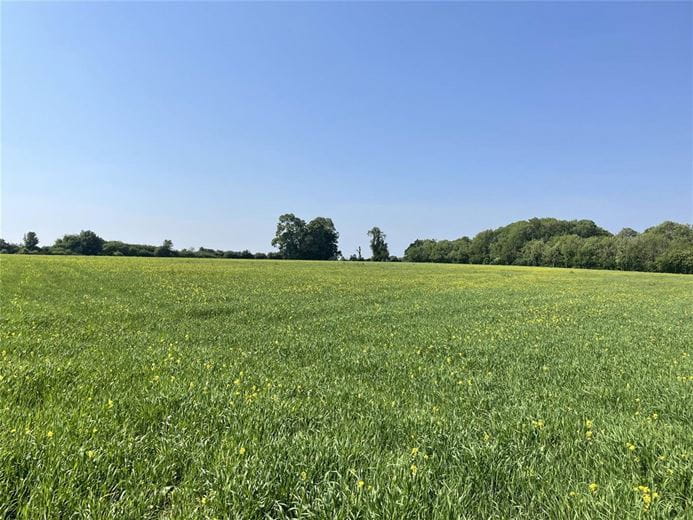 129.8 acres Land, Castle Combe, Chippenham SN14 - Sold