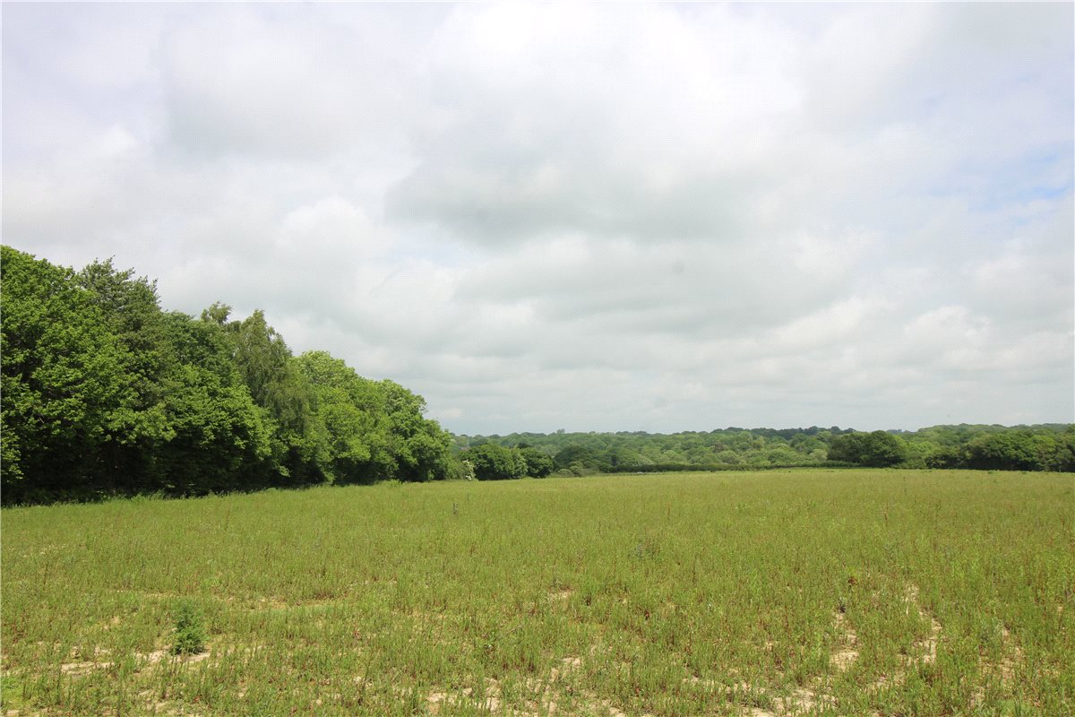 Newbury Estate Agents Property Carter Jonas