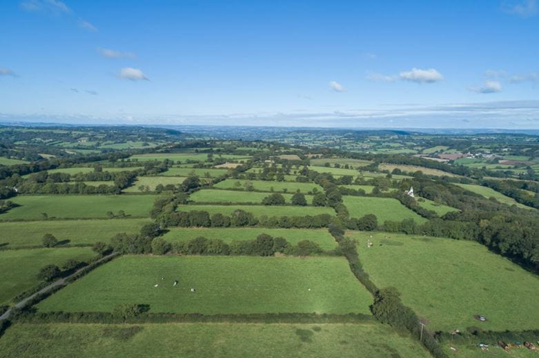 9.6 acres Land, Taunton, TA3 - Sold