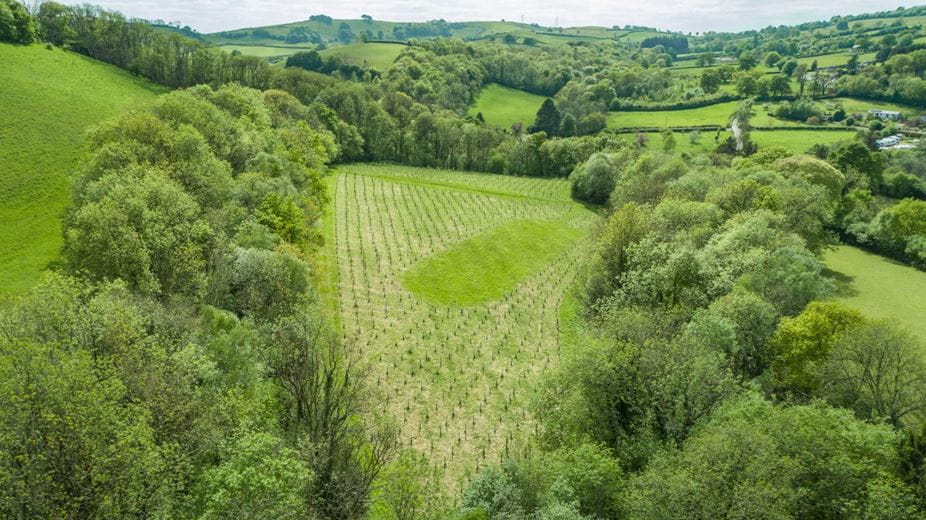 11.1 acres Land, Hurstone Plantation, Waterrow TA4 - Sold
