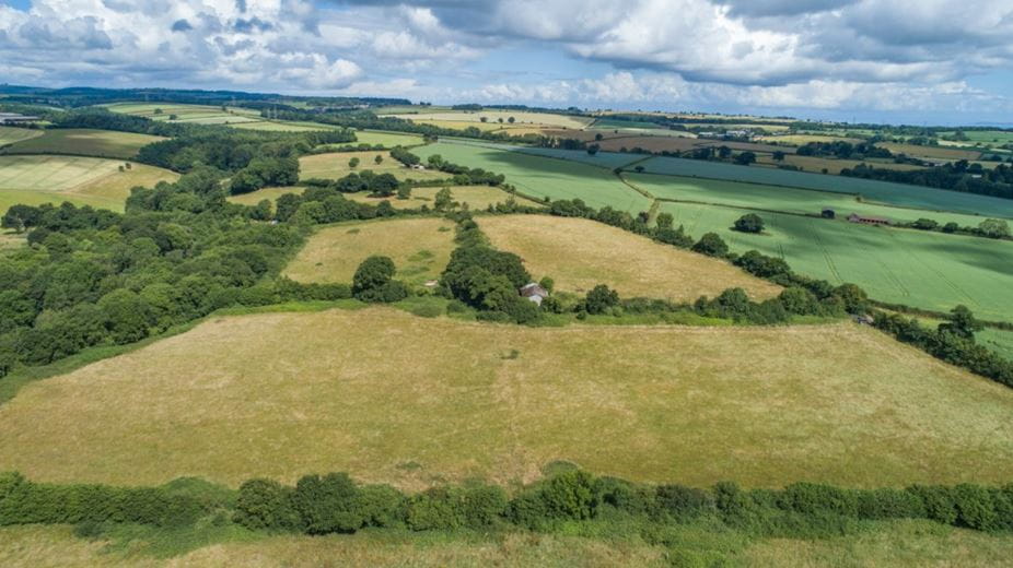 9.5 acres Land, Thurloxton, Taunton TA2 - Sold