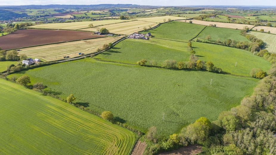 35.6 acres Land, Lot 3: Land At Copplesbury Farm, North Brewham BA10 - Sold STC