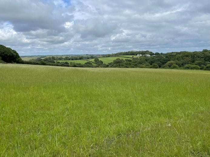20.8 acres Land, Thornbury, Holsworthy EX22 - Sold