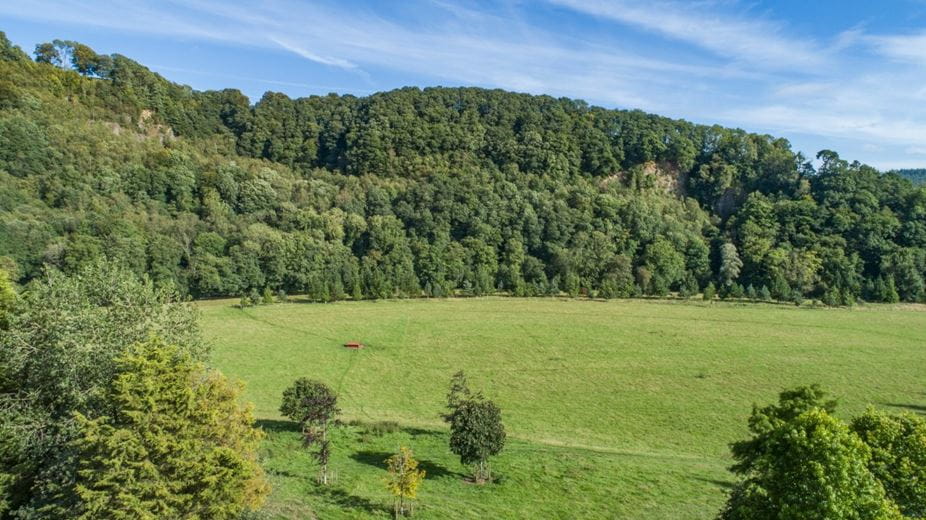 35.5 acres Land, Lot 3: Land At Holmingham Farm, Bampton EX16 - Available