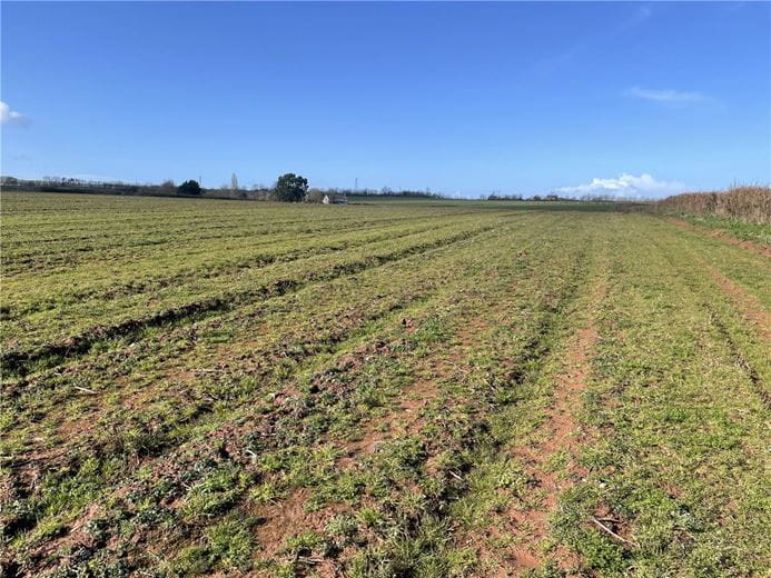 10.4 acres Land, Bridgwater, Somerset TA7 - Available