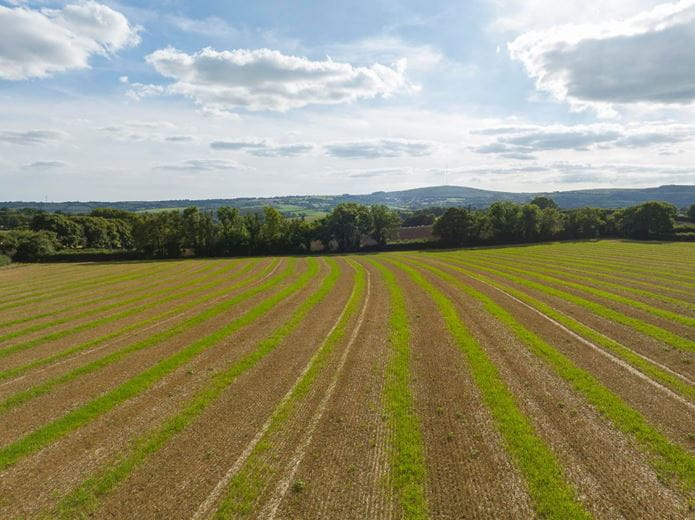 67.1 acres Land, Linkinhorne, Callington PL17 - Sold