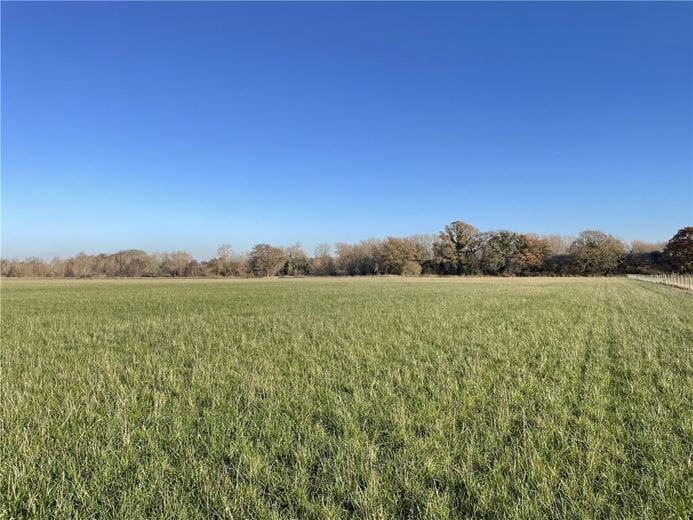 28.6 acres Land, Streatley, Streatley RG8 - Sold