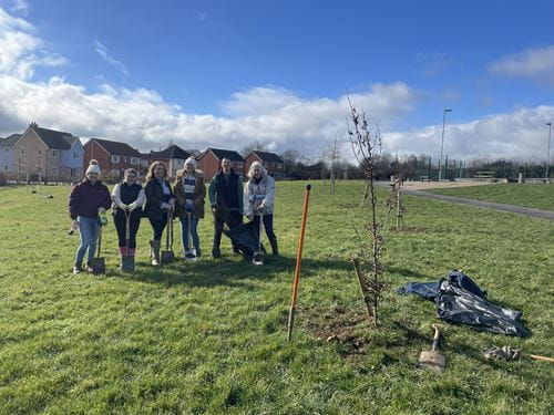 Carter Jonas' Cambridge Property & Asset Management and Valuations teams planting trees for a regeneration scheme at Springlands and People’s Park in Sudbury.