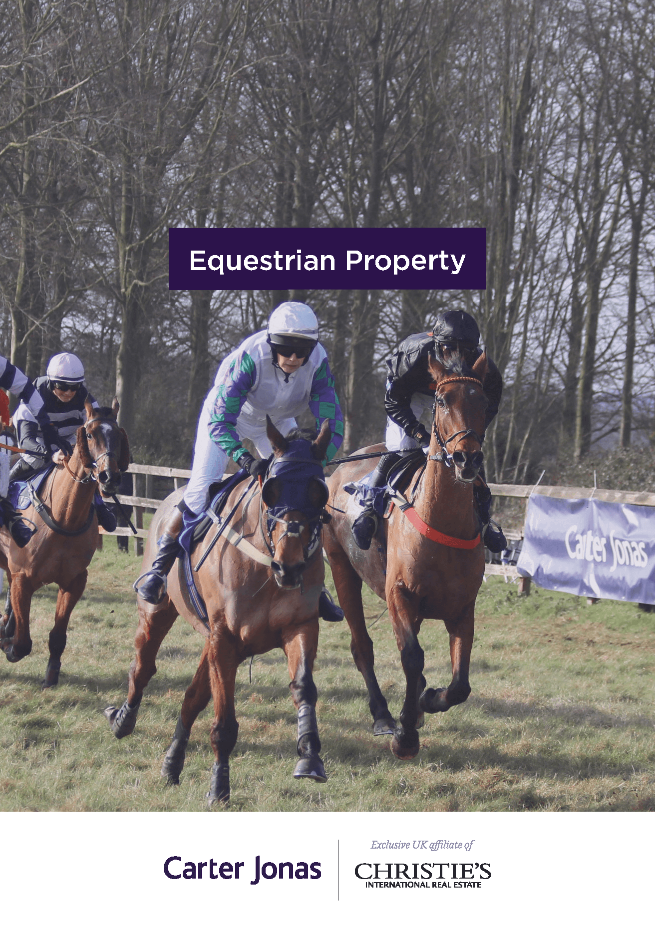 People racing horses on a green field