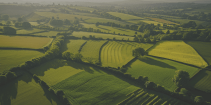 Birdseye view of farmland