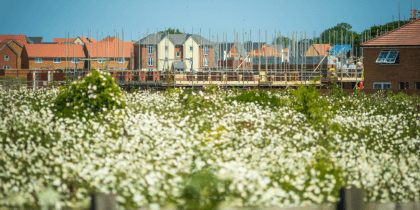Homes under construction