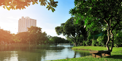 Serene urban park with a calm lake, lush green trees, a stone bench, and a tall building in the background under blue sky.