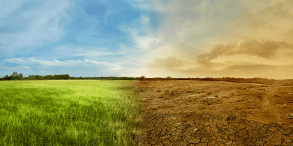 Graphical depiction of climate crisis