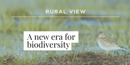 A new era for biodiversity | Rural View