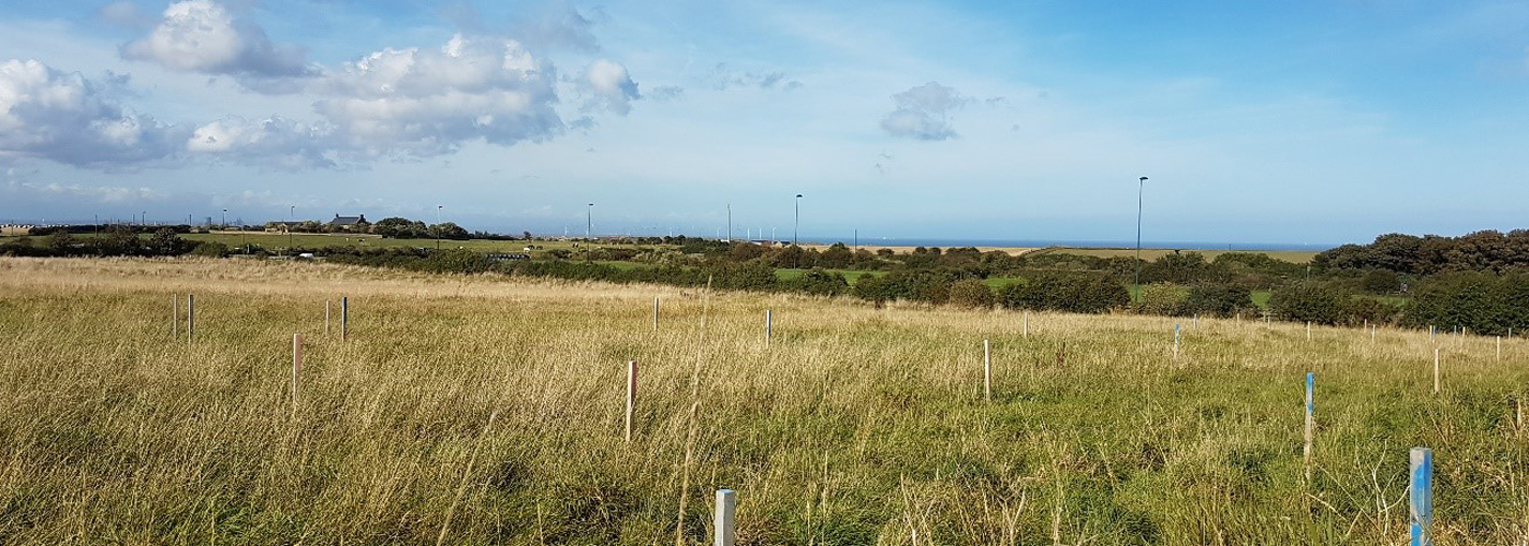 Residential Development