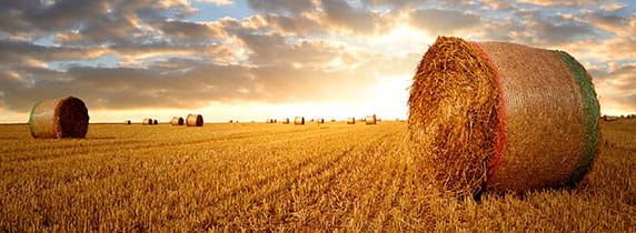 Straw bales in the sunset