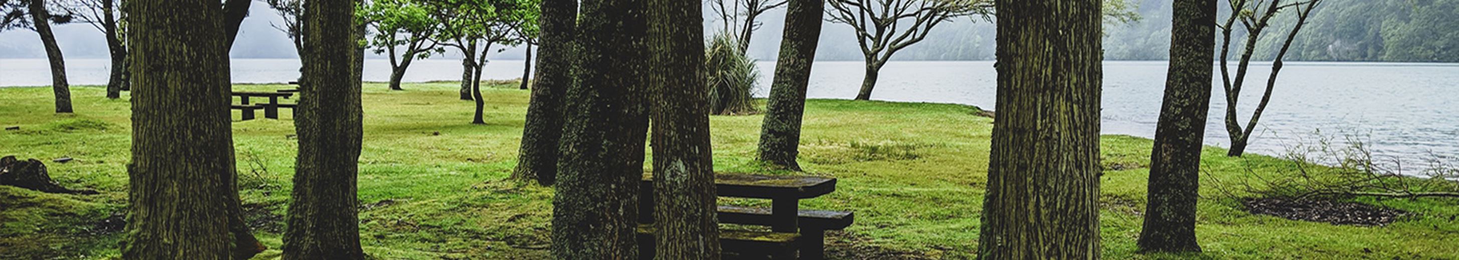 Carter Jonas comments on the introduction of Biodiversity Net Gain