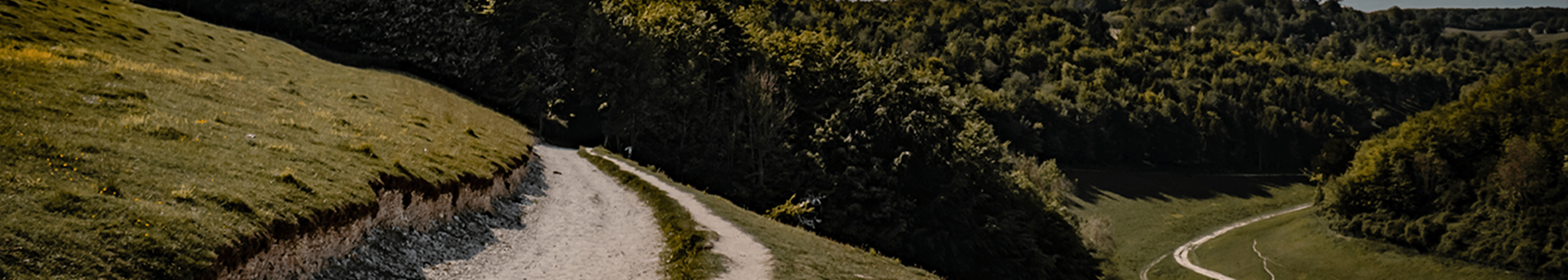 A dirt road in rural England with grassy hills and trees in the distance