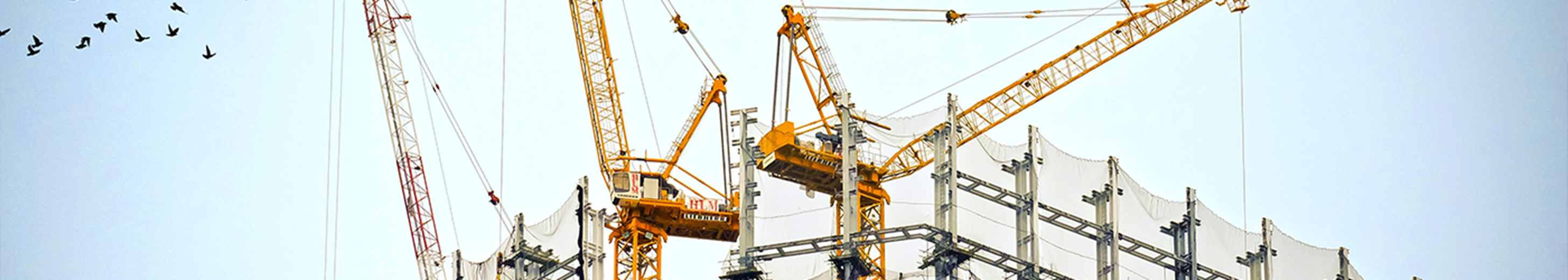 Cranes on a construction site 