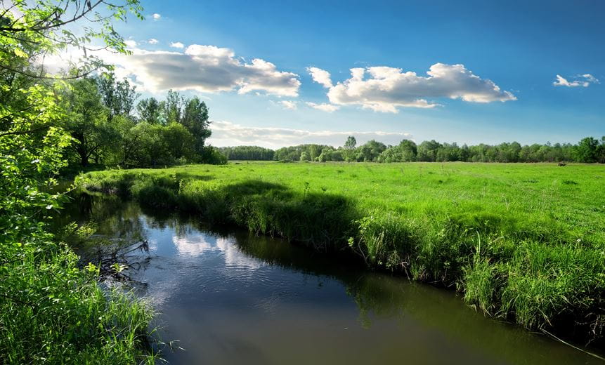 A small river next to tall grass with partly cloudy skies