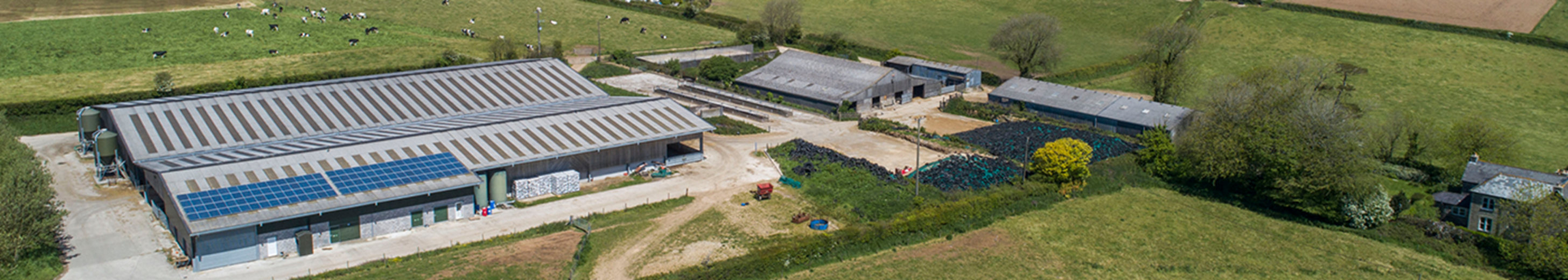 Farmland market defies uncertainty in South West England Rural