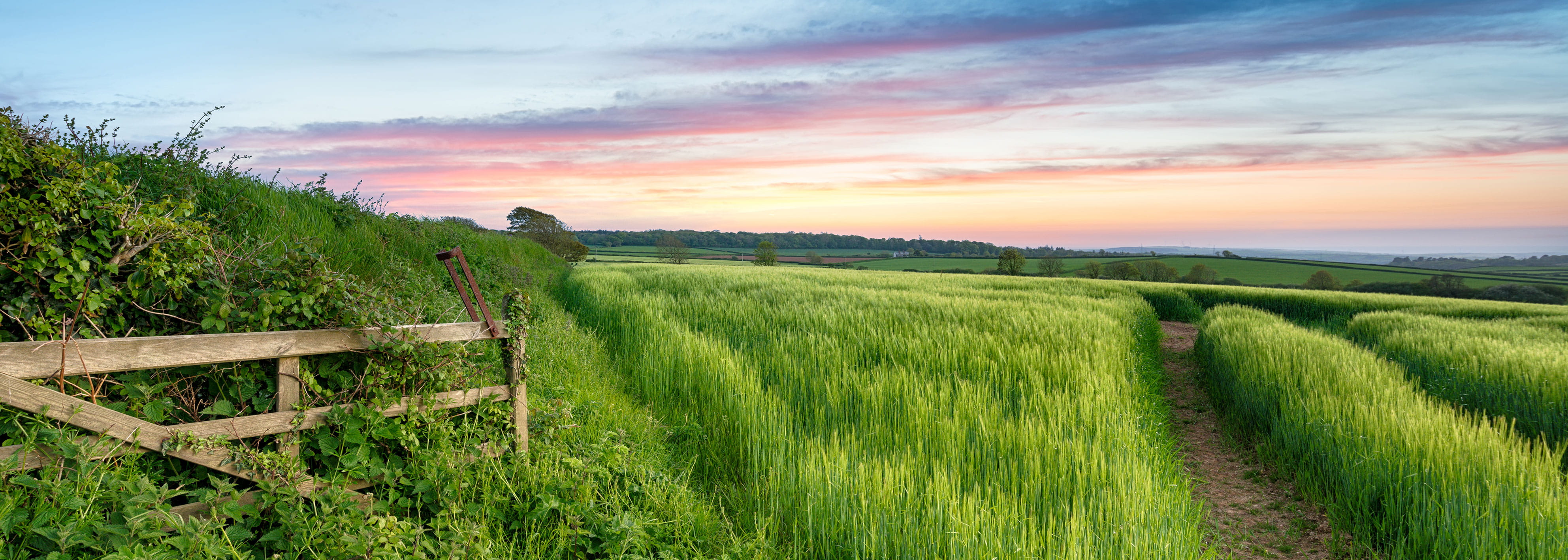 Carter Jonas, European Union, survey, rural sector, trade, agriculture