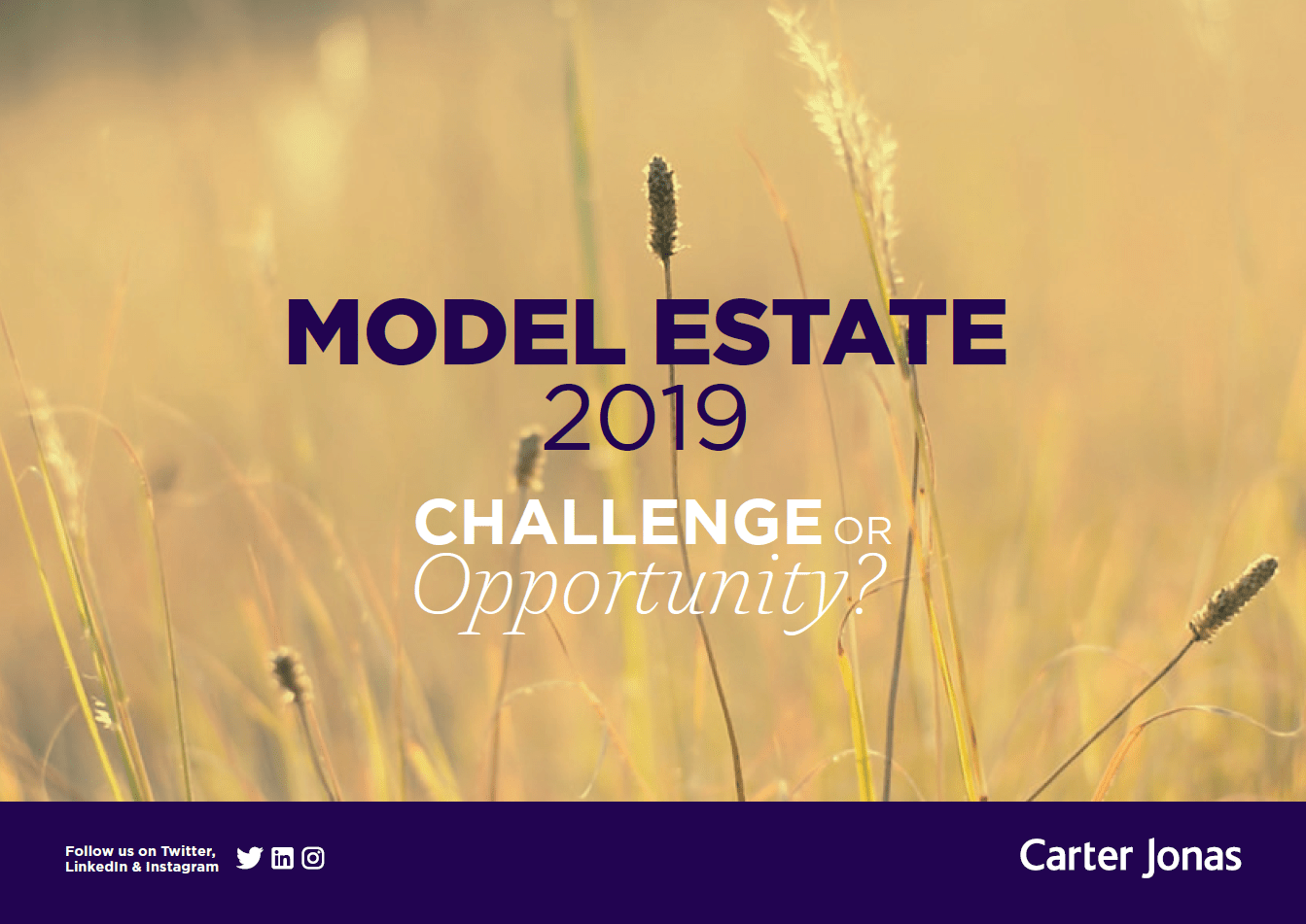 Carter Jonas Estate Agents & Property Consultants