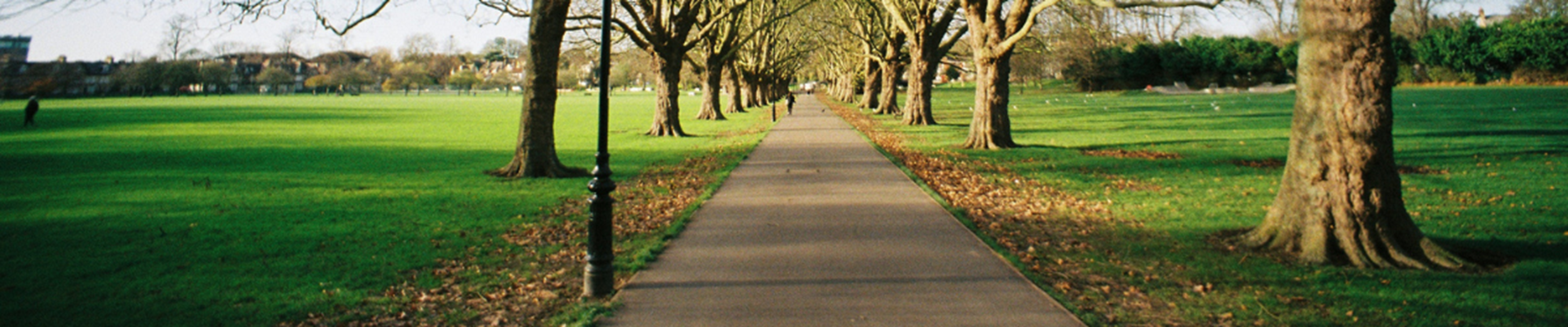 Open park in Cambridge