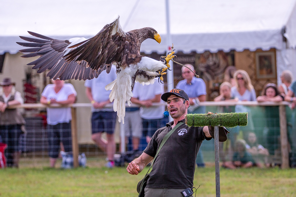 The Game Fair | 2023