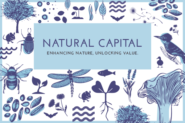 Carter Jonas is Headline Speaker at the CLA Natural Capital Roadshow