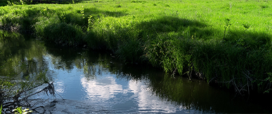 Phosphate Neutrality: What are the requirements in Somerset surrounding planning permission?