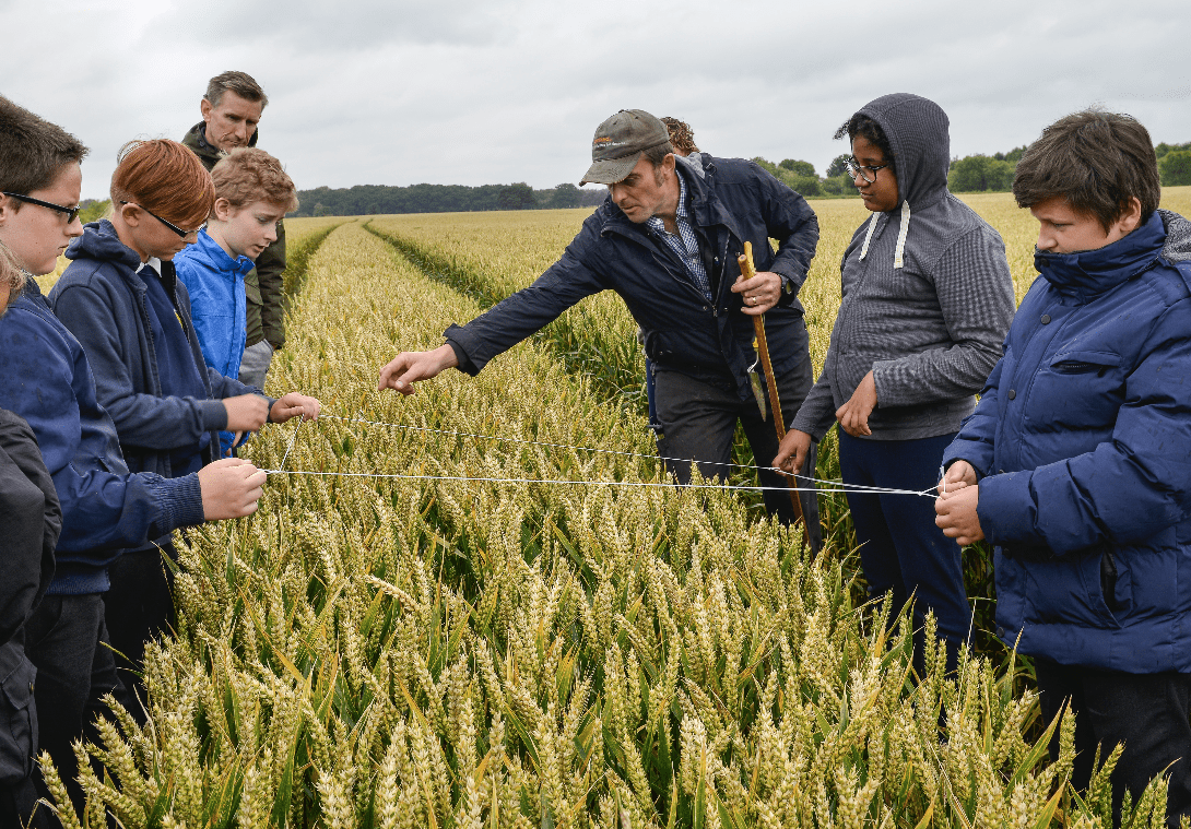 Group of children in a field being taught about crops