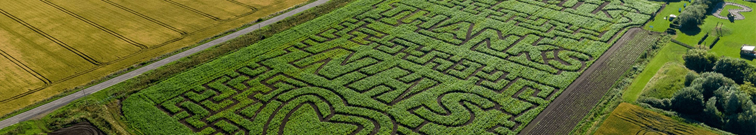 Thank You to NHS maze in March in Cambridgeshire