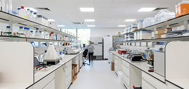 Programme management