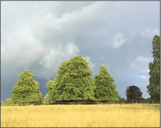 189 to 437 Sq Ft , Units At Southernwood Castle, The Rocks SN14 - Available