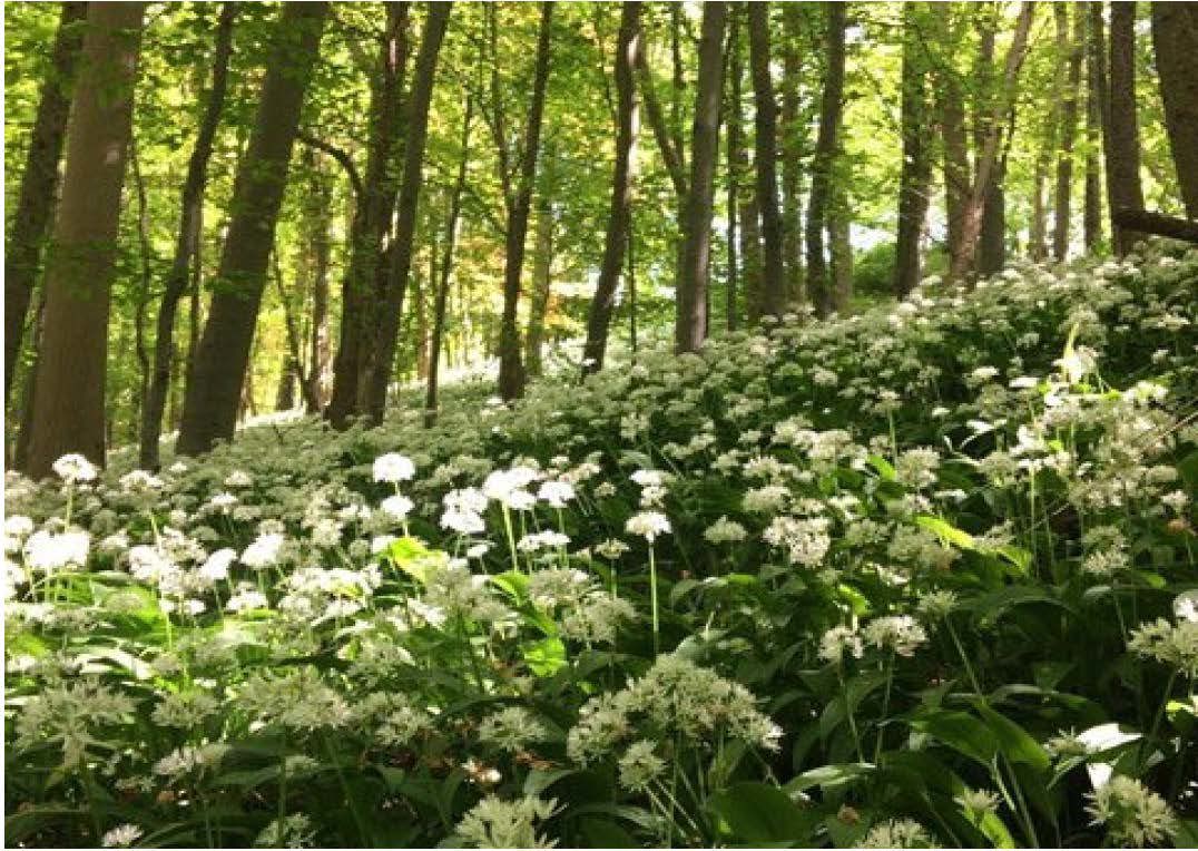 189 to 437 Sq Ft , Units At Southernwood Castle, The Rocks SN14 - Available