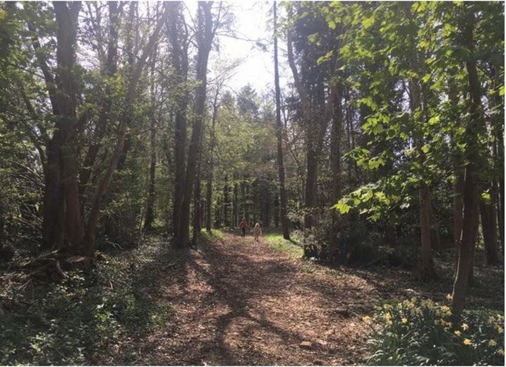 317 Sq Ft , Units At Southernwood Castle, The Rocks SN14 - Available