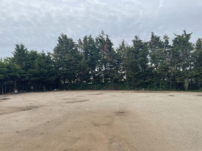 1.5 acres , Bugle Nurseries Upper Halliford Road TW17 - Available