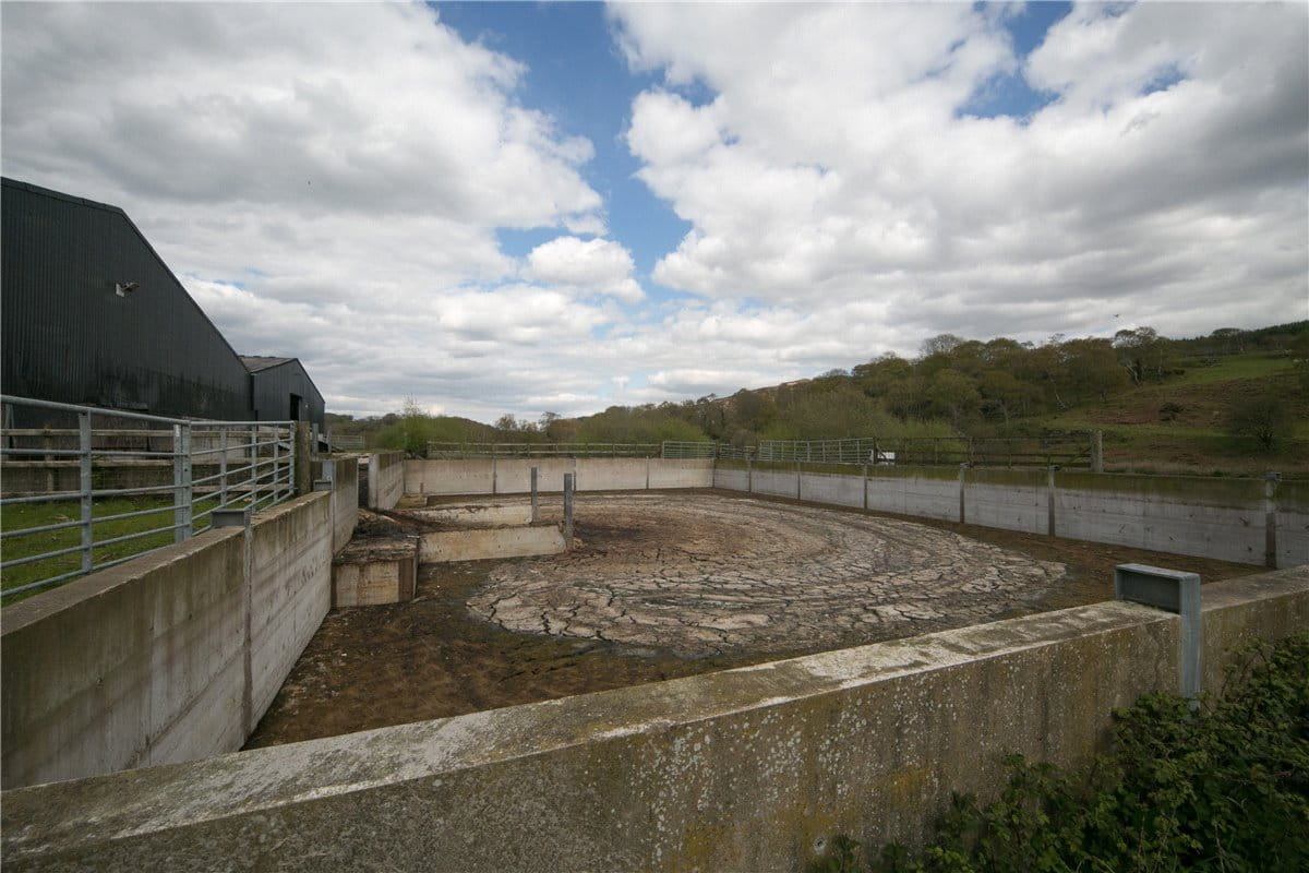 94.1 acres Farm, Tre'r Ddol, Machynlleth SY20 - Sold STC