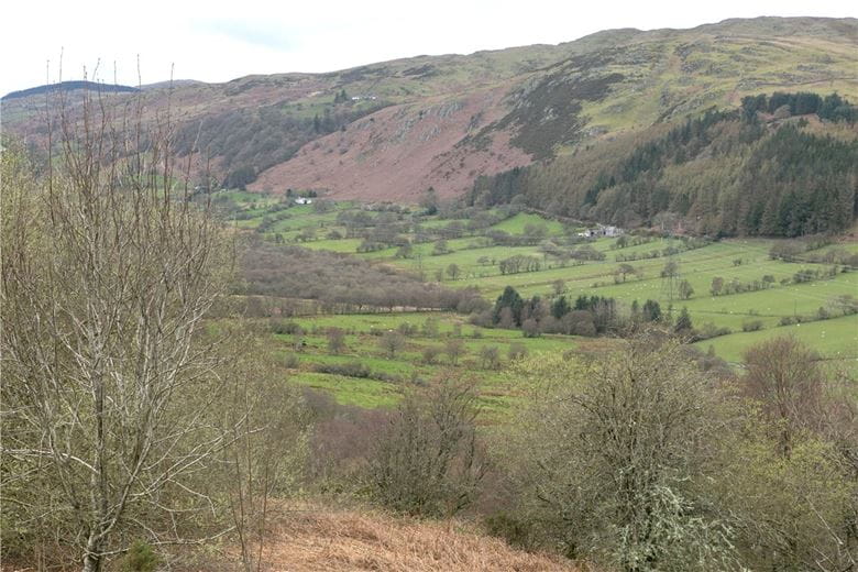  Land, Land At Cwm Main and Cefn Caer Euni, Llandderfel LL23 - Available