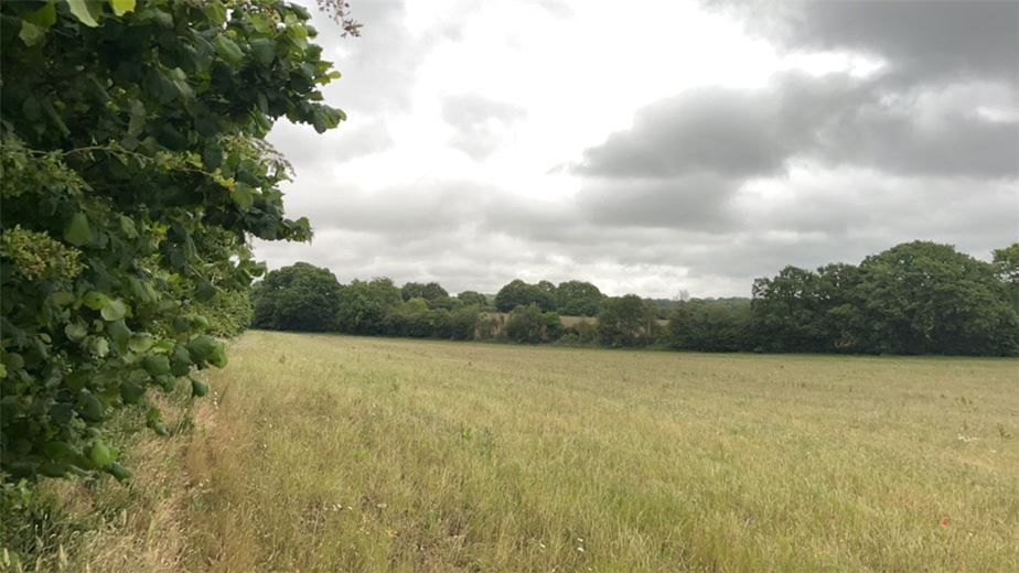 4 acres Land, Thatcham, Berkshire RG18 - Available