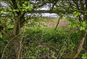 0.07 acres Land, Chorley Road, Westhoughton BL5 - Available