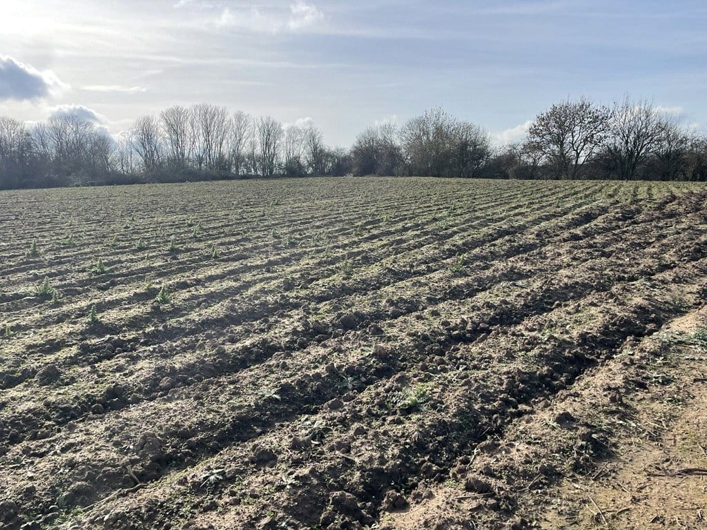 24.6 acres Land, Land At A46, Newark NG24 - Available