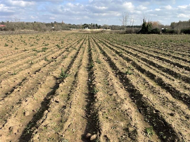 24.6 acres Land, Land At A46, Newark NG24 - Available