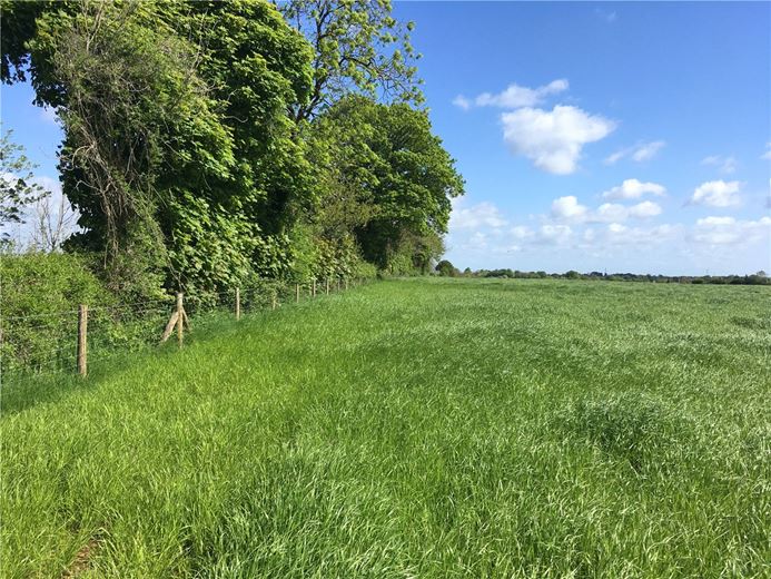 14.8 acres Land, The Shoe, North Wraxall SN14 - Sold