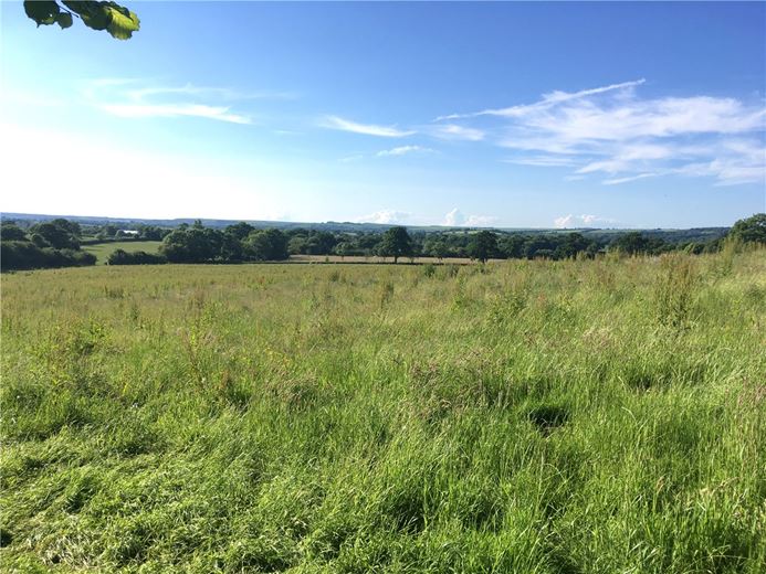 25.6 acres Land, Sedgehill, Shaftesbury SP7 - Sold