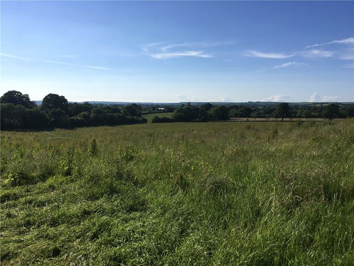 25.6 acres Land, Sedgehill, Shaftesbury SP7 - Sold