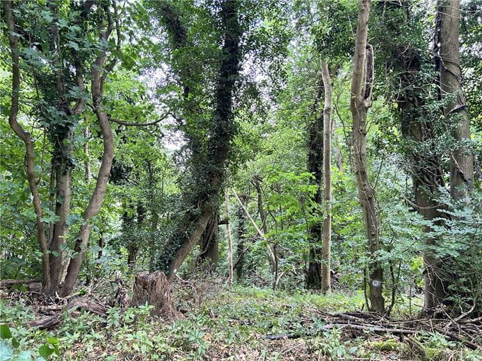 50.3 acres Land, The Street, Castle Combe SN14 - Sold