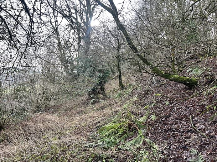 6.2 acres Land, Woodland At Mitcheldean, Mitcheldean GL17 - Available